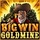 Big Win Goldmine