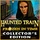 Haunted Train: Frozen in Time Collector's Edition